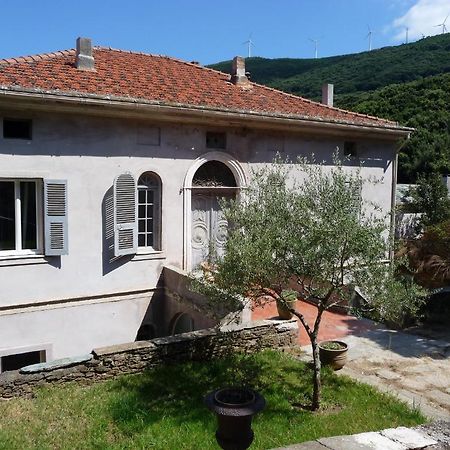 Ersa Casa A Rota Chambres D'Hotes מראה חיצוני תמונה