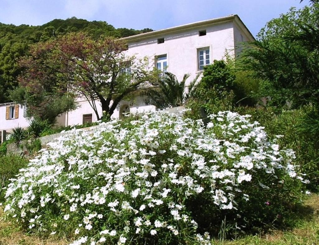 Ersa Casa A Rota Chambres D'Hotes מראה חיצוני תמונה